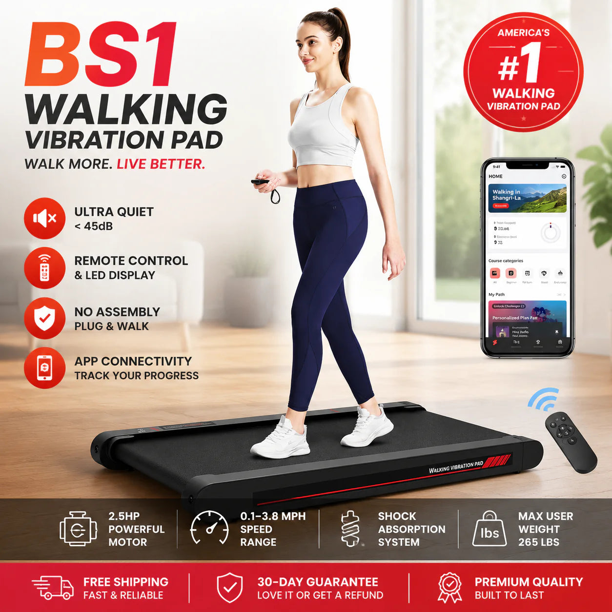 BS1